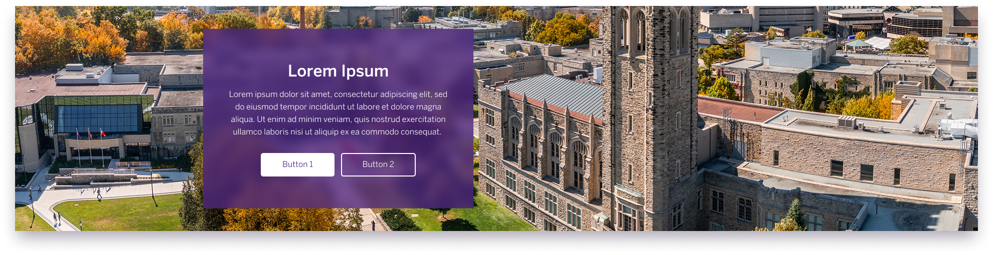 Example image of the full-width banner component