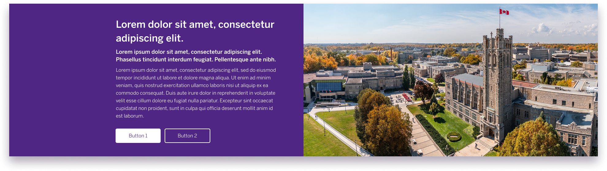 Example image of the featured content component