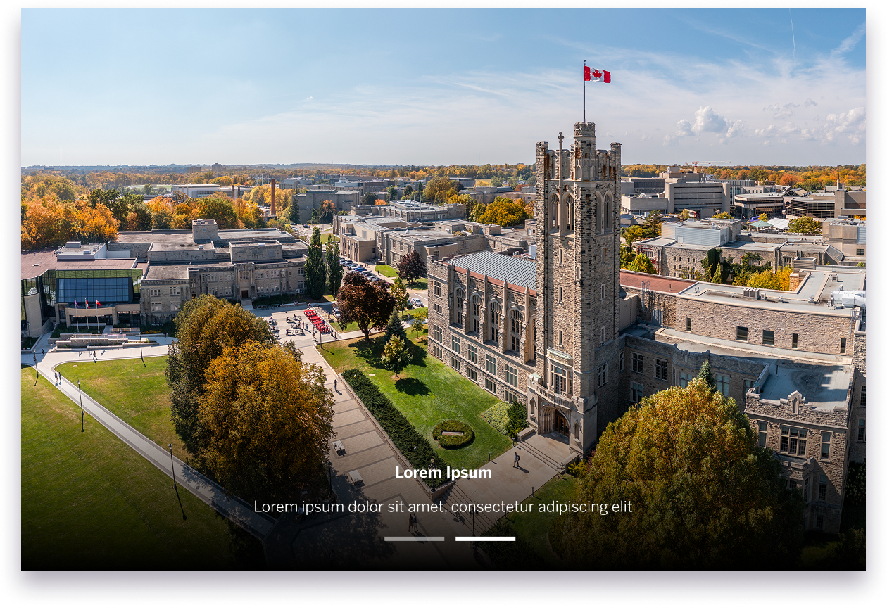 Example image of the image gallery component