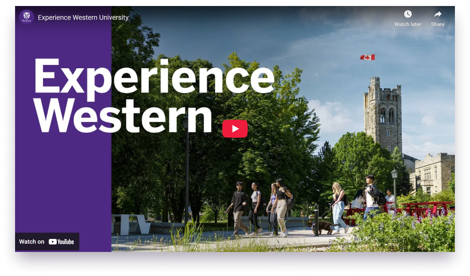 Example image of the video component