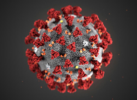 corona-virus-sm.jpg