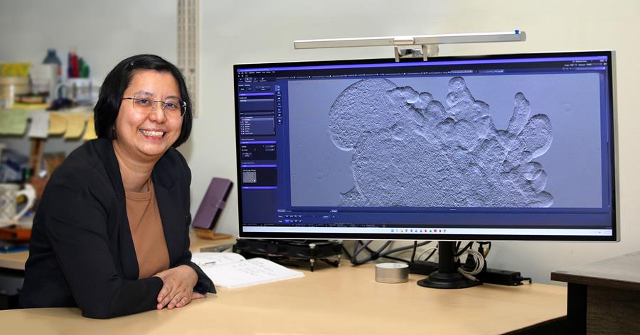 Schulich Medicine & Dentistry professor Van Lu